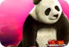 Tekken 5 - Panda