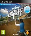 Move Street Cricket